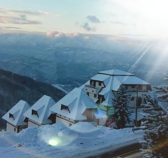 Dvori Apartments Kopaonik Exterior photo